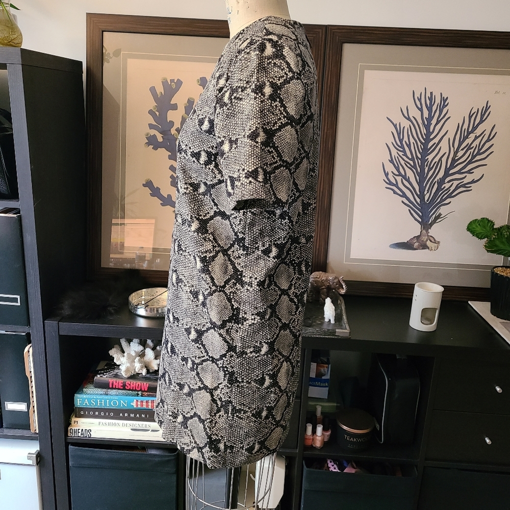 Zara Shift Dress in Snakeskin Pattern - Picture 4 of 7